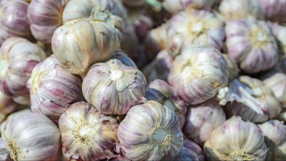 Ferias de Zamora - San Pedro