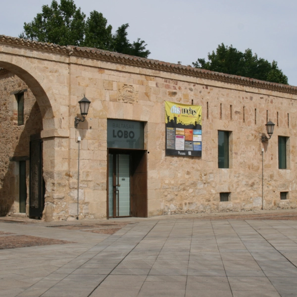 Museo de Baltasar Lobo
