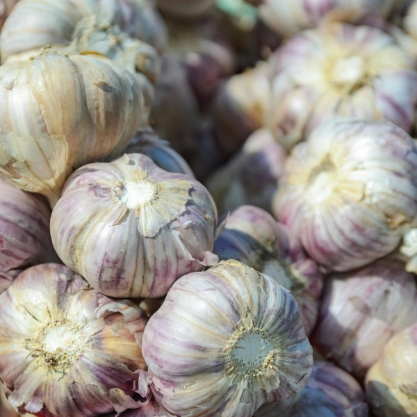 Ferias de Zamora - San Pedro