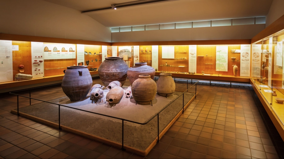 Museo de Zamora Museo de Zamora